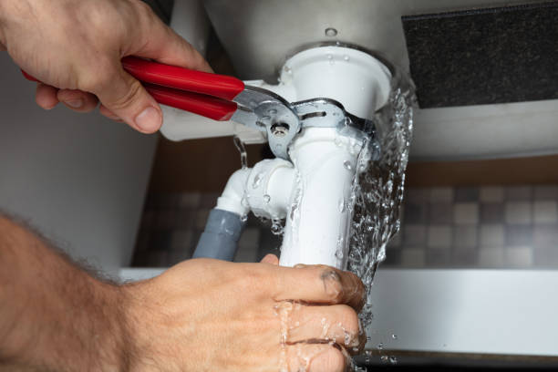 Best Mold removal after water damage  in Lincolndale, NY