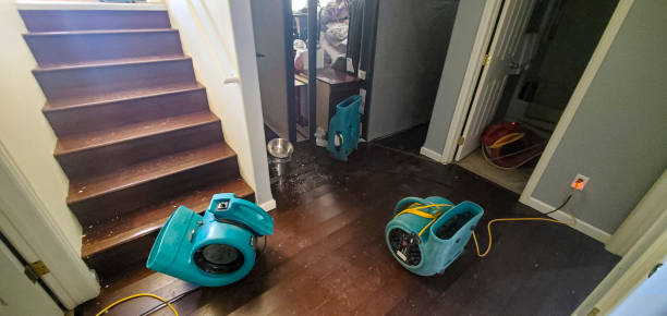Best Flooded house restoration  in Lincolndale, NY