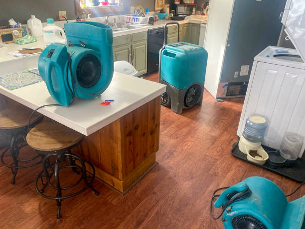 Best Residential water damage restoration  in Lincolndale, NY