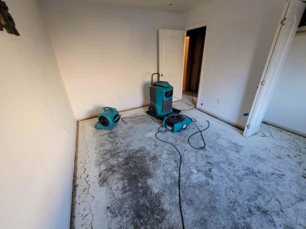 Best Local water damage restoration  in Lincolndale, NY