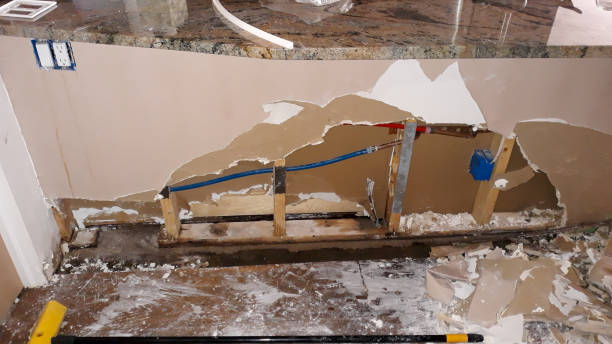 Best Water damage cleanup near me  in Lincolndale, NY