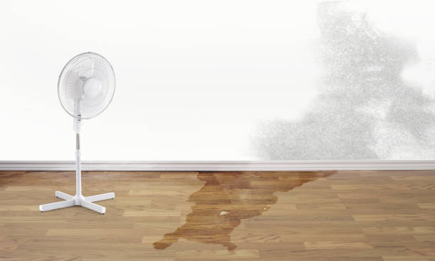 Best Commercial water damage restoration  in Lincolndale, NY