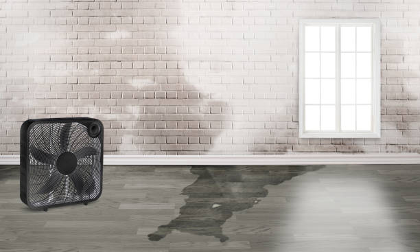  Lincolndale, NY Water damage restoration Pros