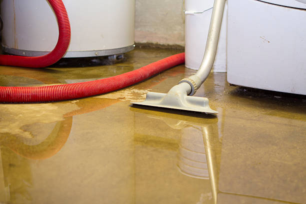 Best Water damage contractors near me  in Lincolndale, NY