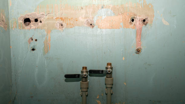 Best 24/7 water damage repair  in Lincolndale, NY