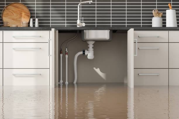 Best Fire Damage Restoration  in Lincolndale, NY